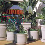 View Ribbed Series Planters